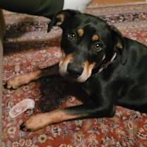 Thumbnail photo of Melanie #2