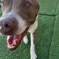 Thumbnail photo of Bernie #2