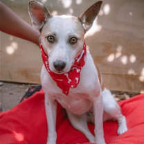 Thumbnail photo of Monica #1