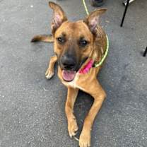 Thumbnail photo of Leilani #3