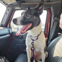 Thumbnail photo of Gigi #2