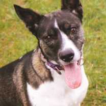 Thumbnail photo of Gigi #3