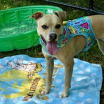 Thumbnail photo of Maybelle #2