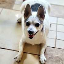 Thumbnail photo of Coco #2