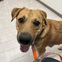 Thumbnail photo of Summit #1