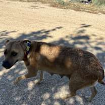 Thumbnail photo of Summit #3