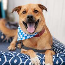 Thumbnail photo of Bobby #2