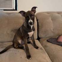 Thumbnail photo of Mae #1