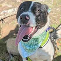 Thumbnail photo of Charity #2