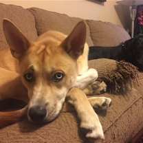 Thumbnail photo of BANE (COURTESY POST) #2