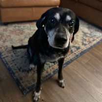 Thumbnail photo of BO (COURTESY POST) #2
