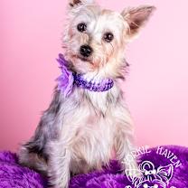 Thumbnail photo of Emma #2