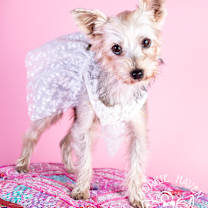 Thumbnail photo of Emma #3