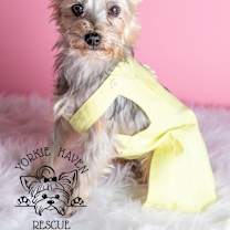 Thumbnail photo of Emma #1