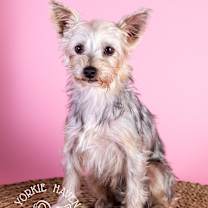 Thumbnail photo of Emma #4
