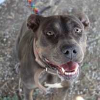 Thumbnail photo of Crystal - A true gem! #1