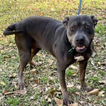 Thumbnail photo of Crystal - A true gem! #2