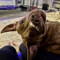 Thumbnail photo of Trinity #2