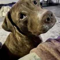 Thumbnail photo of Trinity #4