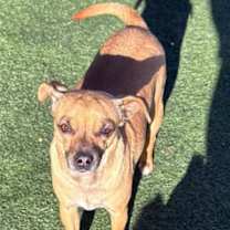 Thumbnail photo of Gus #1