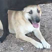 Thumbnail photo of Hutla #2
