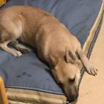 Thumbnail photo of Hutla #4