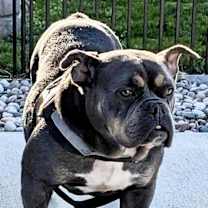 Thumbnail photo of Judy #1