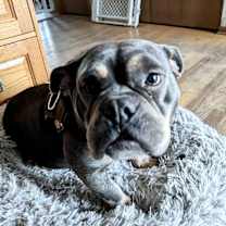 Thumbnail photo of Judy #2