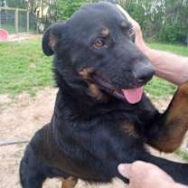 Thumbnail photo of Ranger #1