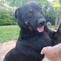 Thumbnail photo of Ranger #2