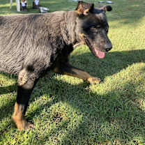Thumbnail photo of Ranger #4