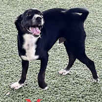 Thumbnail photo of Monroe #3