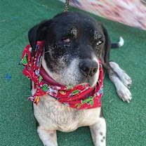 Thumbnail photo of Diego #3