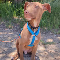 Thumbnail photo of Ludwin #1