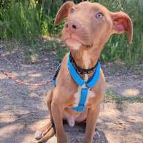 Thumbnail photo of Ludwin #3