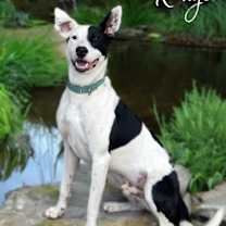 Thumbnail photo of Ranger #1