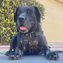 Thumbnail photo of Selma #2