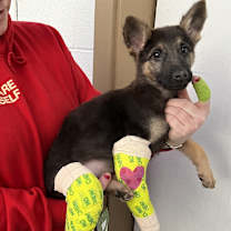 Thumbnail photo of Cheyanne (Special Needs) #3