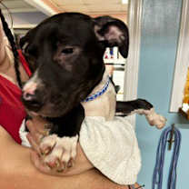 Thumbnail photo of Brenda #4