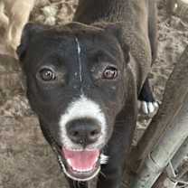 Thumbnail photo of Fallon #4