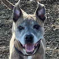 Thumbnail photo of Rockwell #2