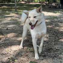 Thumbnail photo of Harry #1