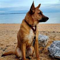 Thumbnail photo of Giselle #1