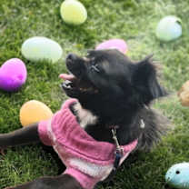 Thumbnail photo of Adorable Nellita - Petite girl #2