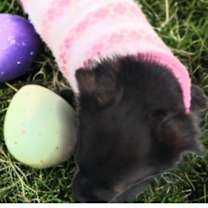 Thumbnail photo of Adorable Nellita - Petite girl #3