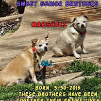 Thumbnail photo of Marshall and Oli #1