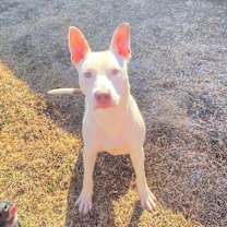 Thumbnail photo of Luca #1