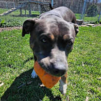 Thumbnail photo of Shine #2