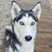 Thumbnail photo of Lyla #3