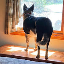 Thumbnail photo of Zoe #2